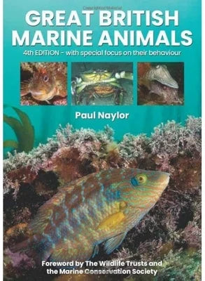 Dive Books